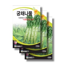 [궁채씨앗] 혼합 쌈채소 씨앗 3종 세트 상추 쌈채 양상추 채소씨앗 주말농장 텃밭 홈가드닝
