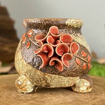 다육맘 수제화분 헤이린, 4번