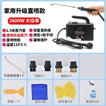 쇼파 스팀청소기 고온 소독 렌지후드 가전제품 가정용, E.2600W-홈 업그레이드-블랙