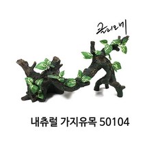 클리오네 내츄럴 가지유목 [50104]