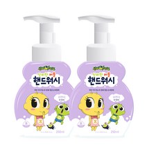씨제이이엔엠 신비아파트 신비한 버블 핸드워시 라벤더향 250ml X 2개, 단품