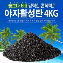 지니컴퍼니 1등급 야자활성탄, 4kg