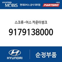 스크류-어스 카운터썽크 (9179138000) 아토스 베르나 하이브리드 라비타 클릭 싼타페 티뷰론
