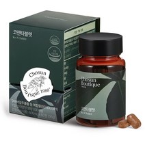 조선부띠끄1988 코앤타블렛, 1개, 60정