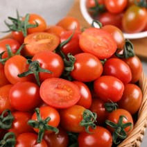 팜커머스 산지직송 스테비아 토마토 망토맛토 500g 1팩, 단품