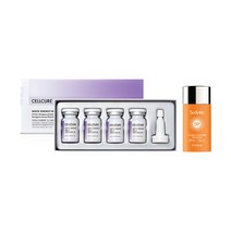 셀트리온 셀큐어 화이트 에너지 멜라앰플 2X + 세디르 선크림 50g 증정, 999, 2 + 세디르 선크림 50g 증정