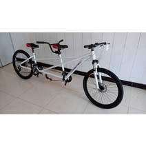 2인용 자전거 MTB 가족 관광 투어링 체험 행사 동승, 흰색 비동기