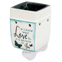 Elanze Designs Love You 블루 버터플라이 세라믹 스톤웨어 전기 플러그인 콘센트 왁스 및 오일 워머