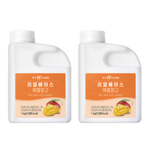 흥국 애플망고 농축액 1L 2개세트, 2. 아이스박스