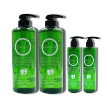 1000ml 2개 + 300ml 2개증정 청소년 초등학생 샴푸 정수리냄새 떡진머리 두피청정 단백질 지성용 쿨링 미용실 약산성 패밀리 머릿결좋아지는 클리닉 아이프리미엄 샴푸, 1세트