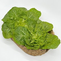 왕언니 국산 100% 진도 봄동, 봄동 3kg