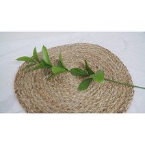 [계절의꽃] 캡거베라 10송이 화훼장식기능사 농장직송 생화택배 꽃배달, 유스커스1대