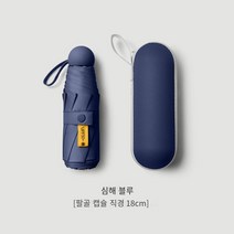 CUTE QUEEN 자외선 차단 양산 청우 겸용 접이식 우산