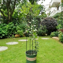 원예 브래킷 랙, 블랙(19.9x100cm) 중간