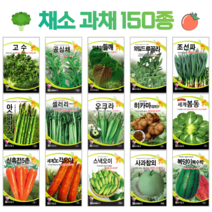 쌈 채소 씨앗 모음 고수 공심채 루꼴라 궁채나물 수박 참외 호박 토마토 상추씨 동남아 종자, 115. 수세미 10립