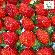 밀양 프리미엄 귀한 신품종 딸기 600/800g 죽향/설향/메리퀸, 설향 800~900g/24과~30과내외, 1개