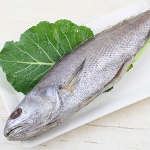 오너클랜 국산 민어 3미(34cm내외) 총670g내외, 1