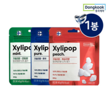 동국제약 핀란드산 자일리톨 자일리팝 40g, 자일리팝 퓨어맛 1개