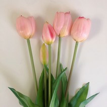 영이오브제 망고튤립 조화 5송이 묶음 8colors, 연핑크