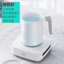 소형얼음 아이스 제빙기 기계얼음제빙기 아이스메이커 소형제빙기 사무실제빙기 업소형소형제빙기 제빙기랜탈 얼음기계, 플래그십 기술 모델(쿨 앤 웜)
