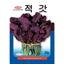 적갓 - 붉은 갓 - 김치 속재료 양념용 갓 - 적갓 씨앗 종자 - 20g