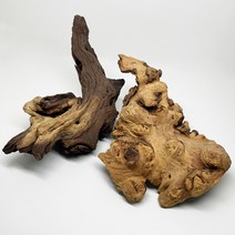 아프리카 투톤 유목 15-30cm 수초 물고기 어항 파충류 사육장 꾸미기