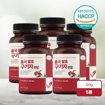 홍국 유산균 발효구기자 추출분말 청양 구기자 15배 고농축 해썹인증, 5통
