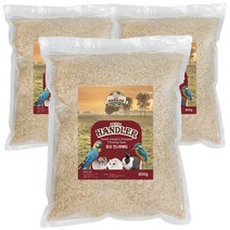 펫츠핸들러 먼지없는 비압축 향균 전나무베딩 800g(12L)*3개, 1개