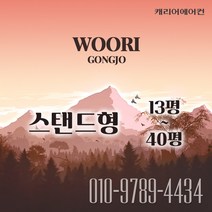 캐리어 스탠드 에어컨 매장용 인버터 시스템 에어컨 16평 냉난방기 (DSQD161SAWWSD)