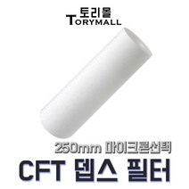 CFT 뎁스 필터 250mm 짓소 CP필터 대체용 PP+PE, 250mm 100um(CFT-250-100)