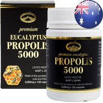 네이쳐스탑 프로폴리스 5000mg 프리미엄 유칼립투스 + 프로폴리스 스프레이, 프로폴리스 120정+스프레이