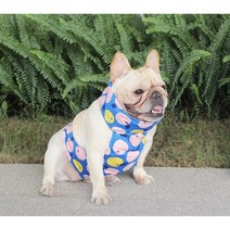 골든독 강아지 레몬 쿨바대+아이스팩SET 쿨조끼 쿨넥워머 프렌치불독 웰시코기 퍼그 아메리칸불리 중형견 대형견 착용가능 옷, M, 오렌지, S