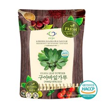 푸른들판 국내산 구아바 잎 분말 가루 100% 국산 구아바나무 잎 차 guava leaves 추천 해썹 인증, 100g, 1개