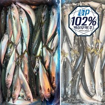 국내산 고등어 10kg, 10kg(75/85미, 20~23 cm내외), 1개