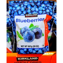 Free Delivery Kirkland Signature Dried Blueberry 567g | 커르크랜드 시그니처 건블루베리 567g