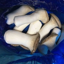 국내산 버섯 가정용 식자재용 새송이버섯 (상) 2kg 4kg, 새송이버섯(상)4kg