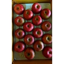 봉화사과부사(미안마) 5kg10kg, 10kg(32~35과)