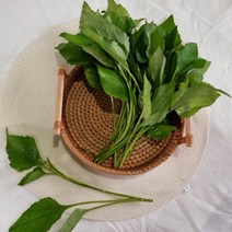 전북 완주 대둔산 햇 취나물 500g 1kg