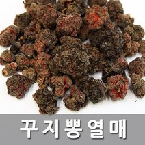 청명네이처 꾸지뽕열매 (300g) -국내산, 1개, 300g