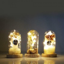 드라이플라워 무드등 인테리어 LED 다온 소망 추억