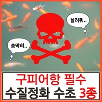 수초하우스)구피어항 필수 수질정화 수초 3종 세트(고정구피 막구피 치어 알풀 알비노풀레드 애완 물고기 백탁 환수 물잡이 물갈이 수질개선), 싸게더많이(총24줄기)