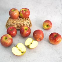 [더조은] 아리수 사과 가정용 5kg 29-33과, 없음