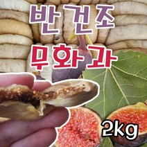 반건조무화과 건무화과 터키산 무화과말랭이 2kg