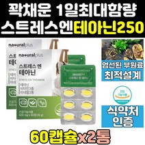 스트레스 엘 l 테아닌 마그네슘 홍경천 감태 250 2통 캡슐 릴렉스 편안한 100 케어 엔테아닌 250mg 효능 분말 L-테아닌 엘테아닌 스트레스엔테아닌 긴장완화 영양제 보조제