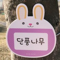 귀여운 포맥스 나무이름표 수목표찰 라벨 명패, 비행기(레드)