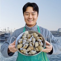 [선주직송]활 백 골뱅이 백고동 자연산 구룡포 동해 백고동 포항 소 중 대 특대 1kg, [생물] 백고동 대 1kg 10-19미내외
