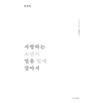 사랑하는 소년이 얼음 밑에 살아서, 한정원 저, 시간의흐름