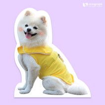 동물등신대 실물스탠딩 A01 기본 소형 20cm, C02 자유문구블루