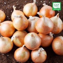 [산지직송] GAP인증 22년산 전남무안 조생양파 5kg (소)