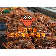 홍게라면 육수용 박달홍게 2.5kg (7미) S급 최상품